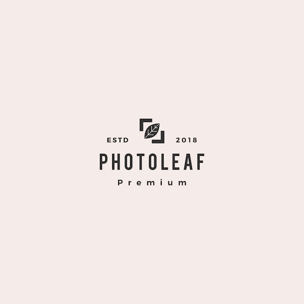 Photo leaf logo vector icon illustration