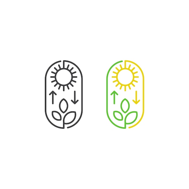 Photosynthesis, sun and plant. Vector icon template