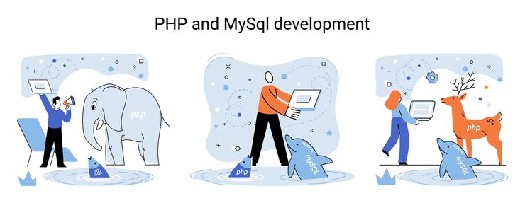Vector php和mysql开发比喻 软件网站开发人员与计算机程序员服务开源通用编程语言 脚本网络应用程序允许创建程序