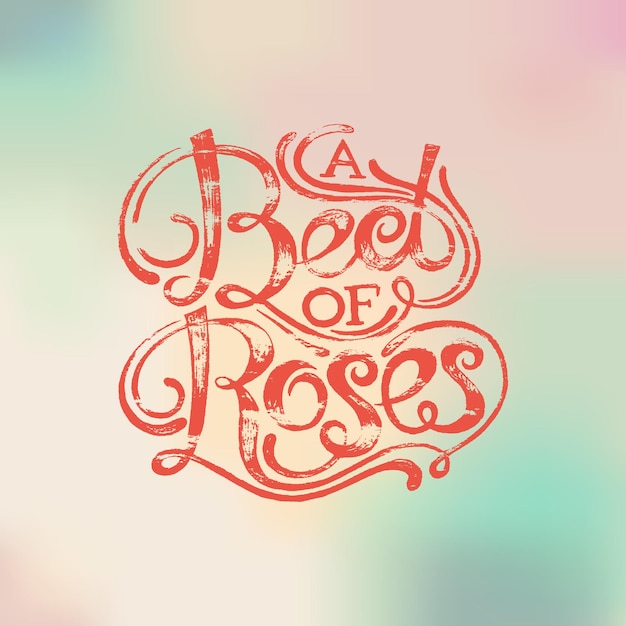 Phrase bed of roses lettering