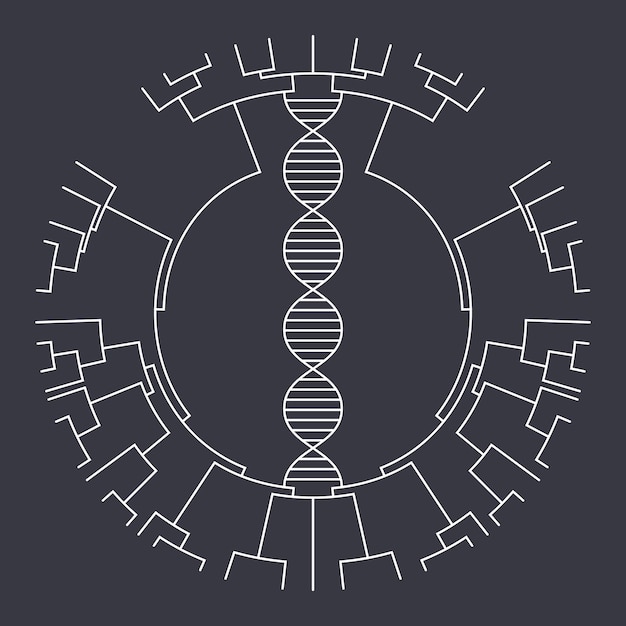 Phylogenetic tree science vector illustration graphic design