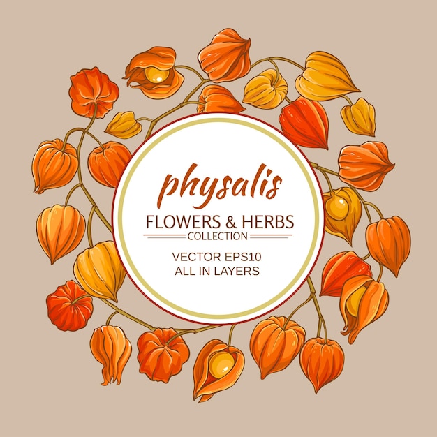 Vector physalis vector frame