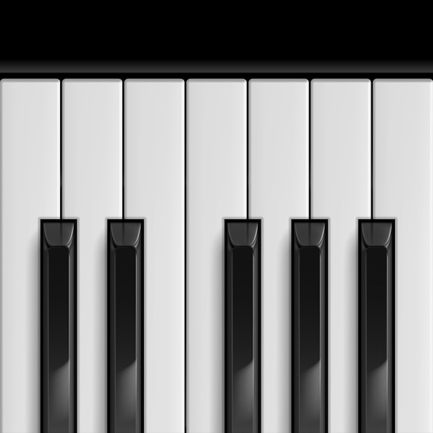 Vector piano keys