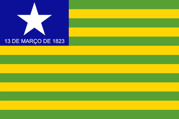 Piaui Flag state of Brazil Vector Illustration