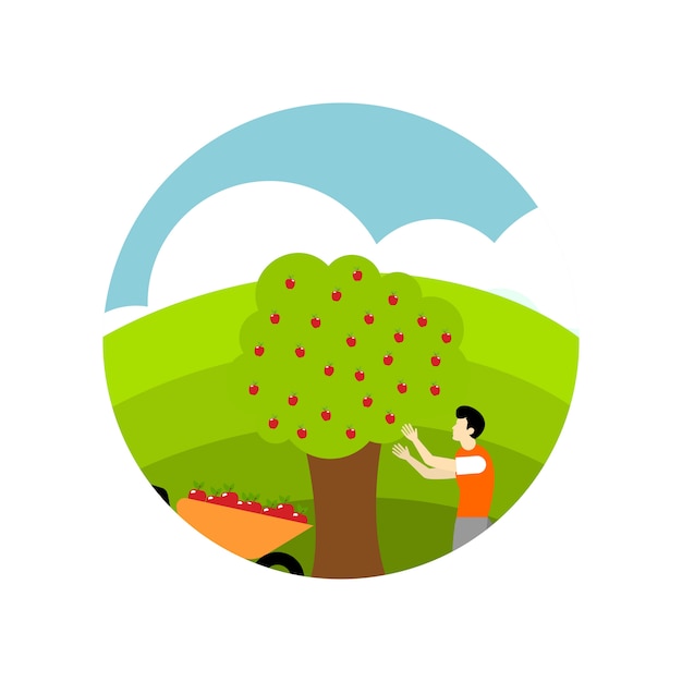 Picking apple fruit illustration