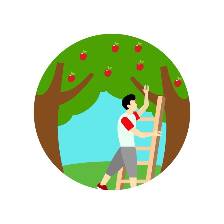 वेक्टर picking apple fruit illustration