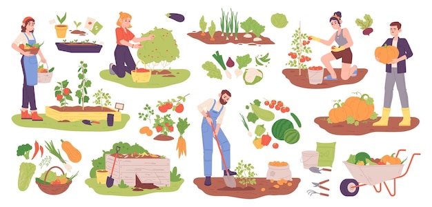 Сбор посаженных овощей женщина и мужчина выращивают овощи или фрукты в саду, копают урожай картофеля, собирают помидоры, ягоды, тыкву, осенний урожай, яркую векторную иллюстрацию