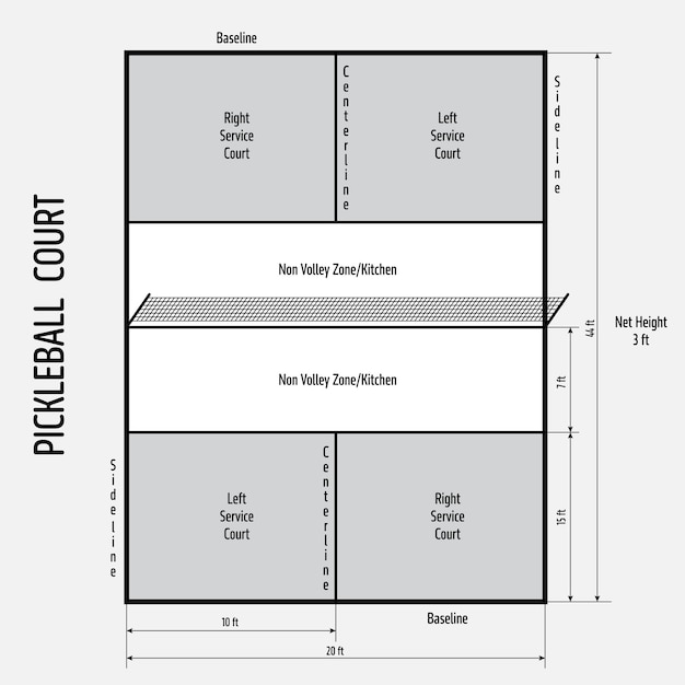 Vector pickleball court official dimensions