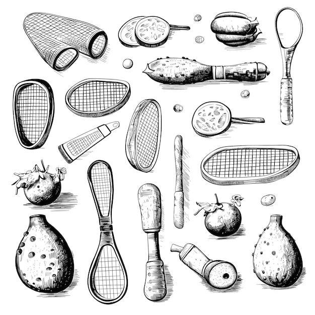 Pickleball elements set vector