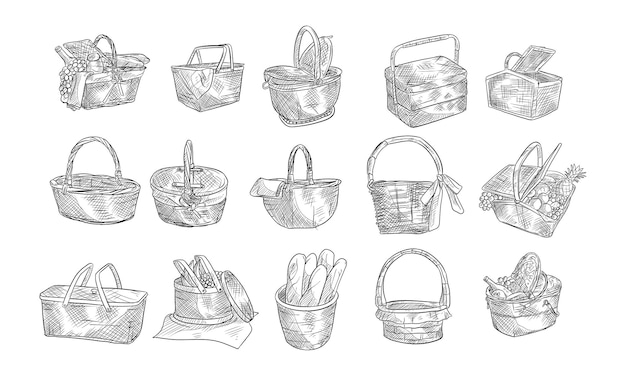 Collezione di cesti da picnic disegnati a mano