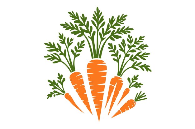 Vector a picture of carrots with the words carrots on it