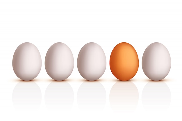 Vector picture of egg set