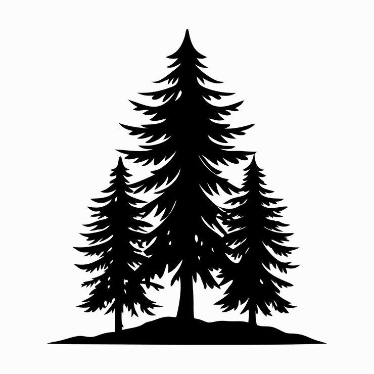 Vector a picture of a fir tree silhouette