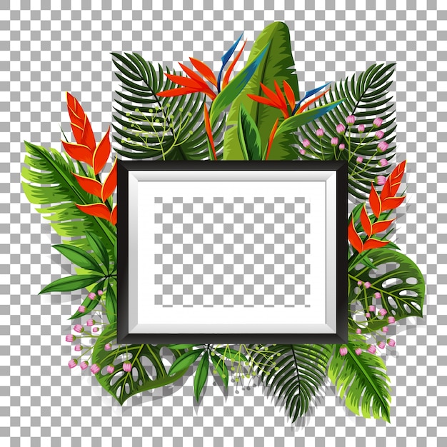 Vector picture frame with bird of paradise in background