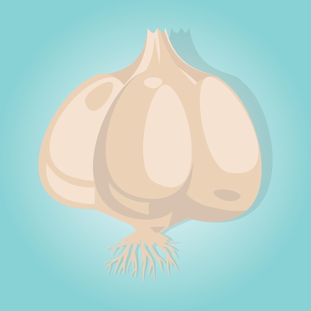 A picture of a garlic with the top left corner of the picture.