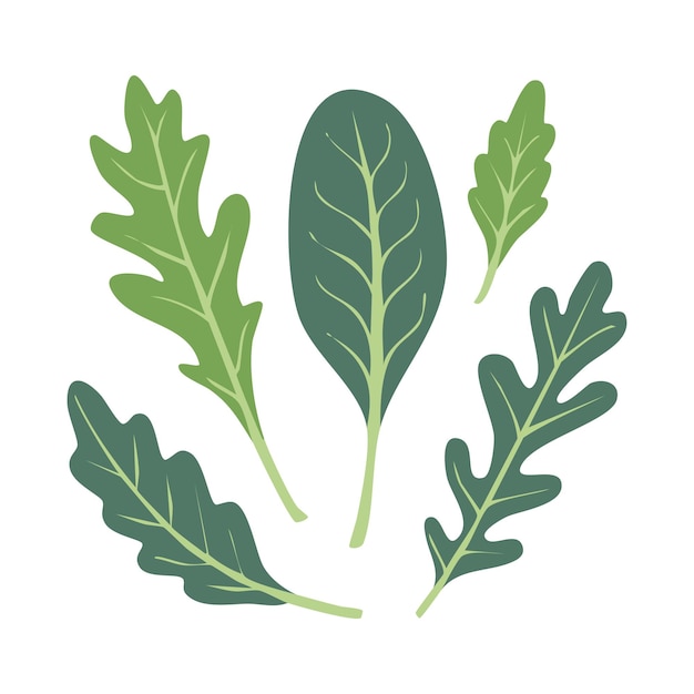 a picture of green leaves and a leaf that says natural