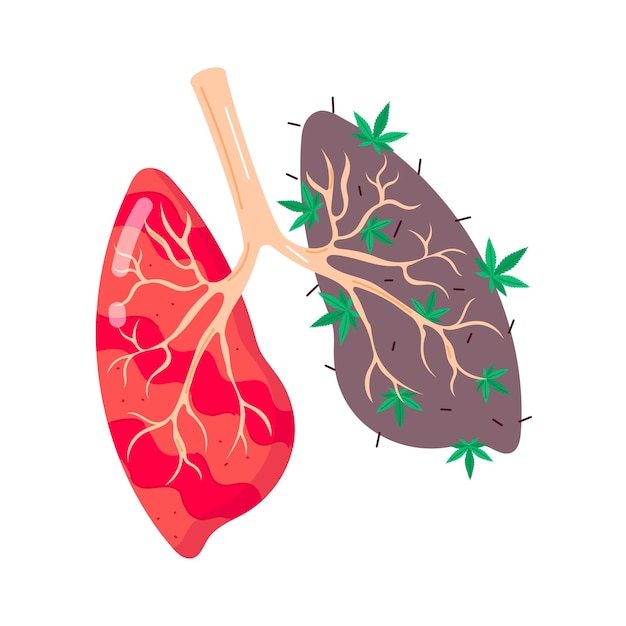 Vector a picture of a heart and a plant with the word lungs on it