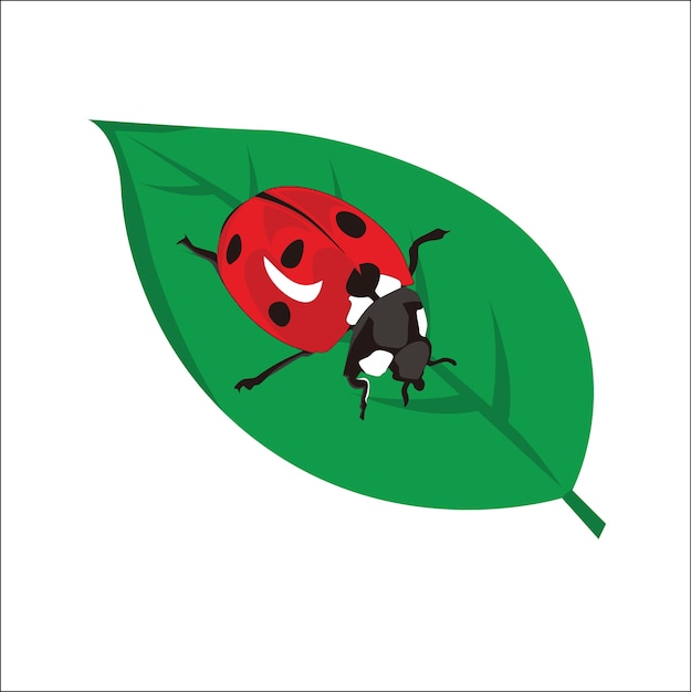 picture of insect illustration for media social
