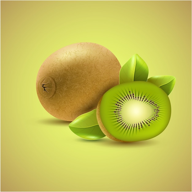 a picture of a kiwi and a kiwi fruit