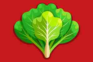 Vector a picture of a leaf that says  lettuce