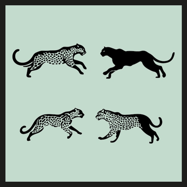 Vector a picture of leopards and leopards with a black background