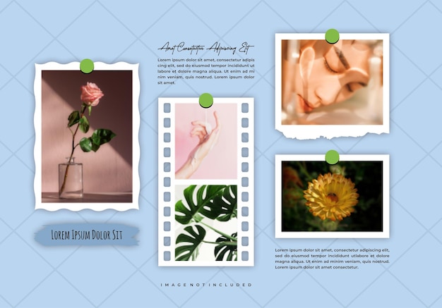 picture moodboard picture photo collage design template