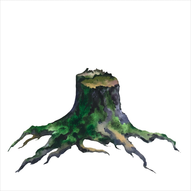 picture of an old stump hand painted in watercolor on a white background