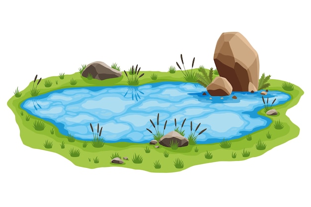 Vector picturesque natural pond concept of open small swamp lake water pond with reeds and stone natural countryside landscape multicolour game scene