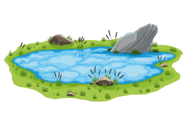 Vector picturesque natural pond concept of open small swamp lake water pond with reeds and stone natural countryside landscape multicolour game scene