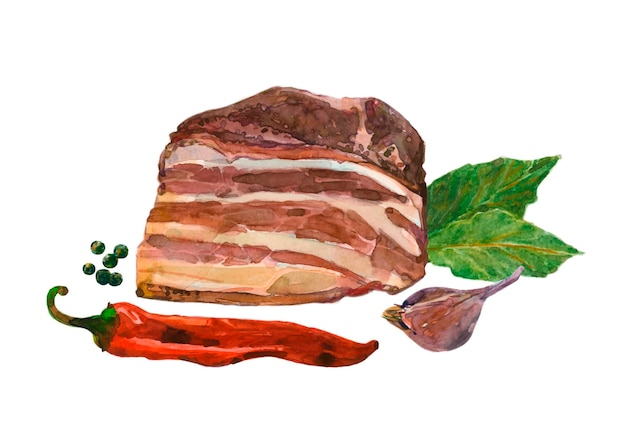 Vettore pezzo di pancetta guarnito con aglio foglia di alloro peperoncino e grani di pepe illustrazione ad acquerello