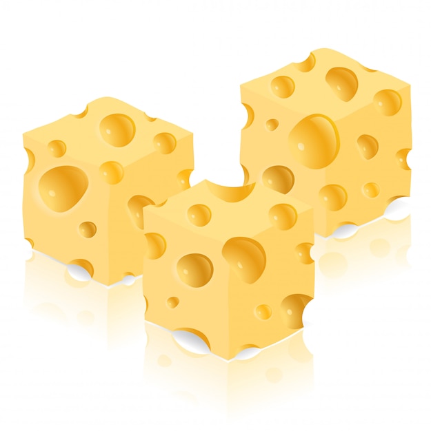 Vector piece of cheese vector illustration