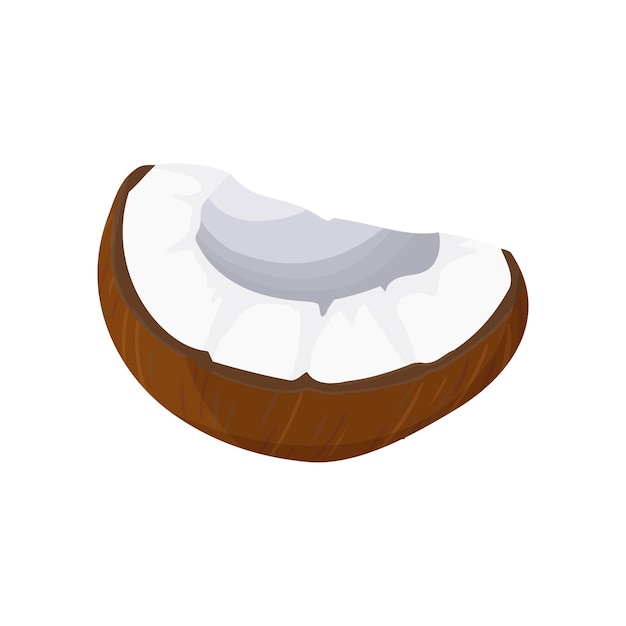 A piece of coconut and coconut palm products Cartoon pulp and coconut shell