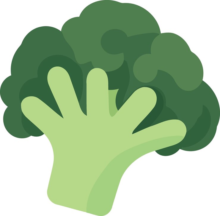 Vector piece of vegetable food broccoli