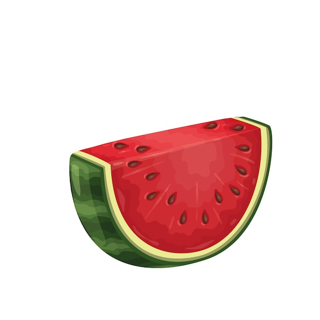 Piece of watermelon