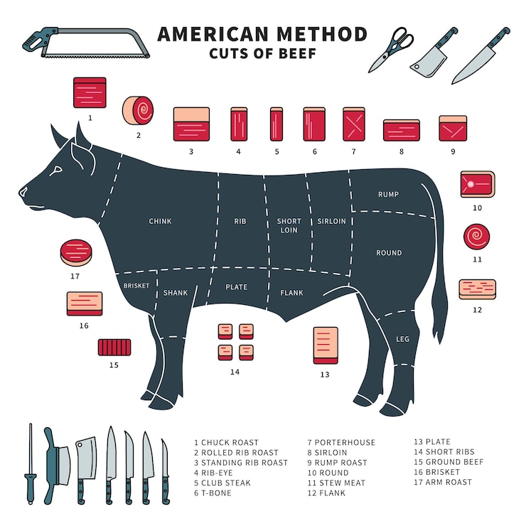 Vector pieces of beef with set of sharp tools cow and and knifes chuck roast  rib eye