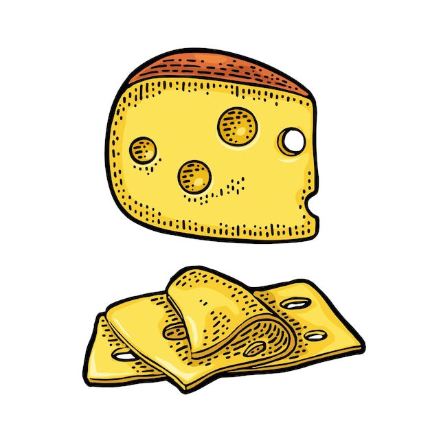 Vector pieces of cheese color vintage engraved vector