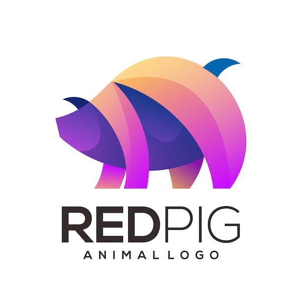 Pig colorful logo illustration abstract