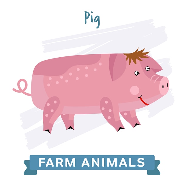 Pig isolated, farm animal