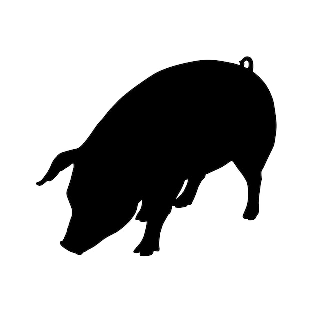 Vector pig silhouette set collection isolated black on white background vector illustration