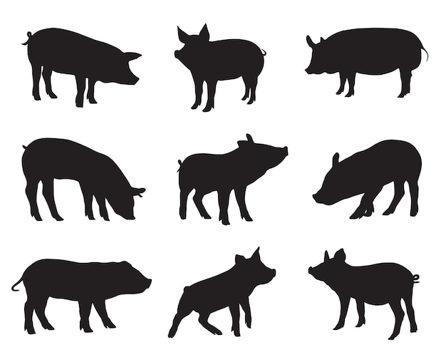 Pig silhouette