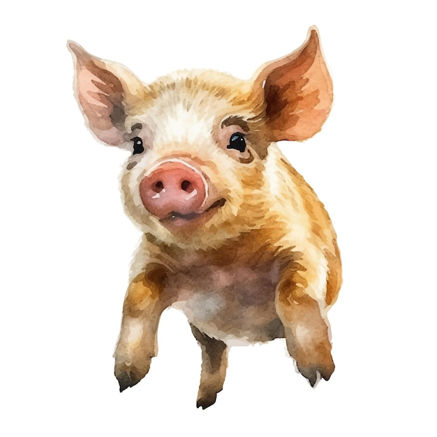 Иллюстрация с акварелью свиньи
