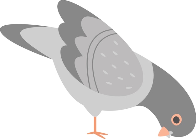 Vector pigeon bird eating