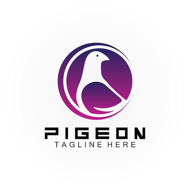 Pigeon bird logo vector icon illustration design template