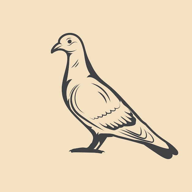 pigeon Bird レトロベクトル ストックイラスト