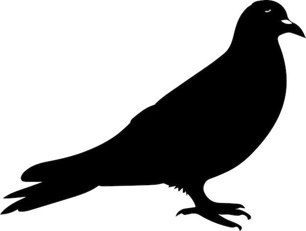 Pigeon Bird Vector silhouette illustration