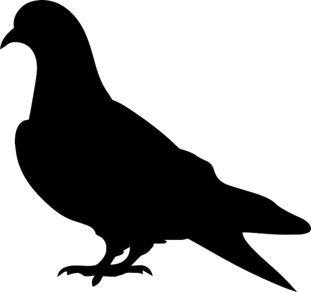 Pigeon Bird Vector silhouette illustration