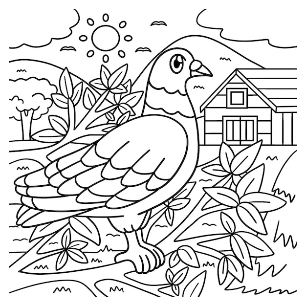 Pigeon Coloring Page for Kids