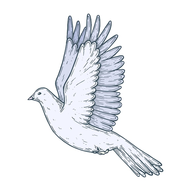 A pigeon in flight