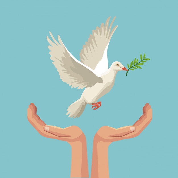 pigeon flying with olive branch in peak and hands holding