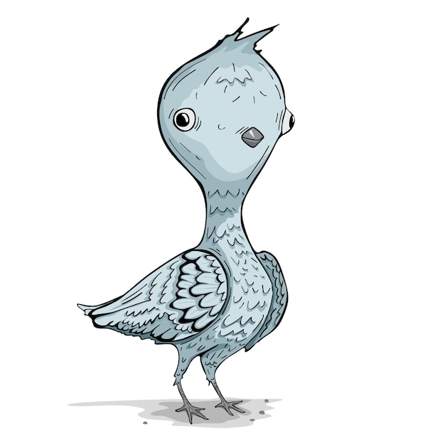 Pigeon illustration cartoon